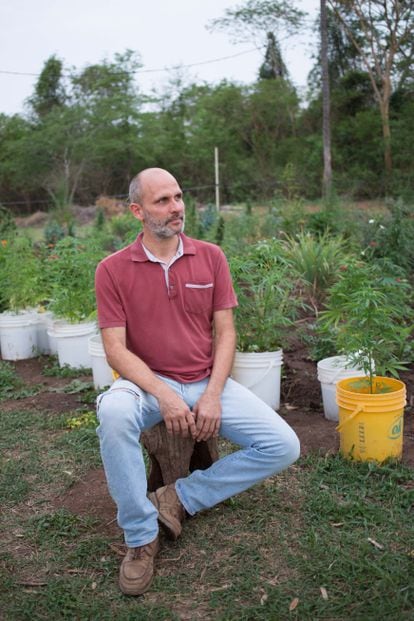 Juan Carlos Cabezudo, empresario y abogado. Produce cannabis para regalar a personas que lo necesitan, en su granja cerca de Asunción, Paraguay.