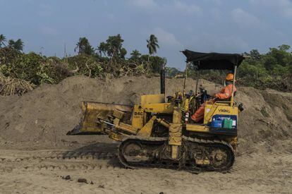 Un operador remueve la tierra y el manglar en Paraíso (Tabasco).