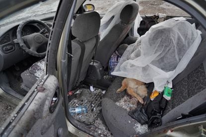Dos cadáveres junto a un perro muerto en el interior de un vehículo en Zapiriyia.