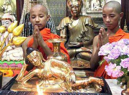 Celebración en Calcuta del Vesak, día sagrado del budismo.