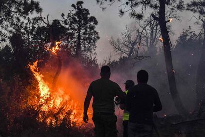 Voluntarios y bomberos, durante los trabajos de extinción del incendio forestal en Melloula (Argelia), este lunes. 