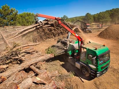 Energía cuya materia prima se oculta entre bosques y lodos