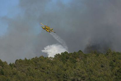 Una avioneta lanza agua para apagar el fuego.