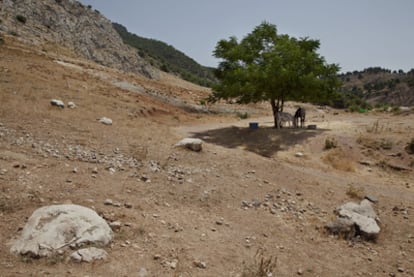 Posible ubicación de la fosa de García Lorca, marcada con piedras, entre Víznar y Alfacar.