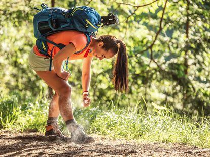 Aspectos de la geografía, época del año y biodiversidad aledaña, los mosquitos pueden estar presentes en mayor o menor medida, variando de especie y peligrosidad.