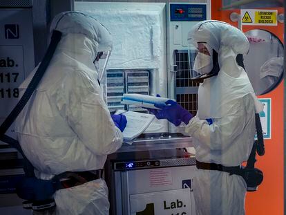 Dos científicos trabajan en una vacuna contra la covid-19 en el Centro Nacional de Biotecnología, en Madrid.