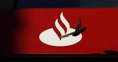 Ave volando sobre logo de Santander. 