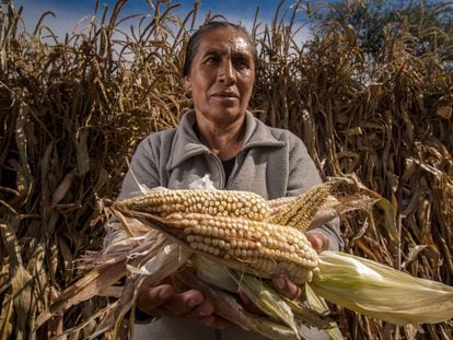 Una agricultora muestra su cosecha de maíz en Ciudad de México, en marzo pasado.
