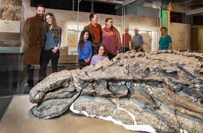 La momia del 'Borealopelta markmitchelli' se exhibe en el Museo Royal Tyrrell, en Canadá.