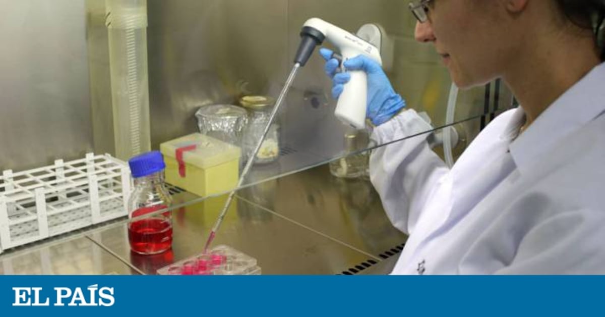 Donde Comprar Clomifeno En Mexico