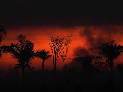 Humo se desprende de un fuego ilegal de la selva del Amazonas en el norte de Sinop en Mateo Grosso, el martes 11 de agosto.