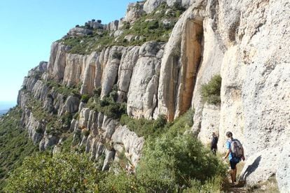 Los 'graus' que surcan la sierra del Montsant, como el de l’Escletxa (en la foto), son caminos estrechos que ganan altura de forma abrupta y directa. El más vertiginoso es el de Barrots (5,5 kilómetros, dificultad media-alta), que discurre por terrazas colgadas de estas grandes paredes, asomándose al vacío sobre los viñedos del Priotat.