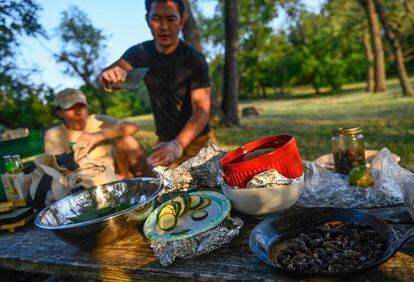 El chef Bun Lai es uno de los promotores de incluir insectos en la dieta de los estadounidenses por ser una fuente más sustentable de proteínas. En la imagen, el cocinero prepara unos rollitos de sushi con cigarras a la plancha en el parque Fort Totten de Washington.