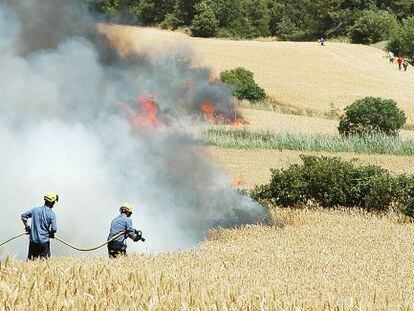 Agentes de los bomberos, ayer intentando apagar el fuego en un campo de cereal todav&iacute;a sin segar.