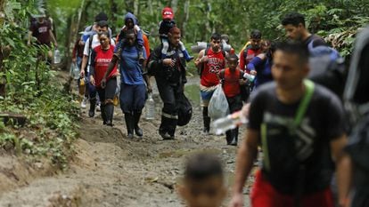 Migrantes caminan por una montaña con la intención de llegar a Panamá, el 8 de octubre de 2022, a través del Tapón del Darién (Colombia).