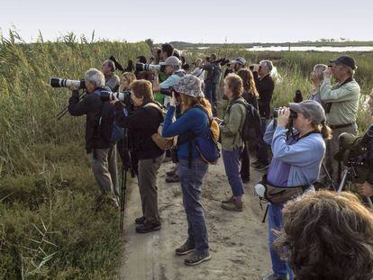 Público del Delta Birding Festival, observando aves. 