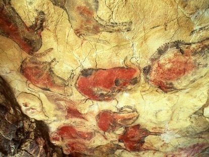 Bisontes policromados de arte rupestre en las cuevas de Altamira (Cantabria).