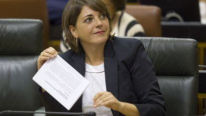 La consejera de Fomento, Elena Cort&eacute;s, en el Parlamento.