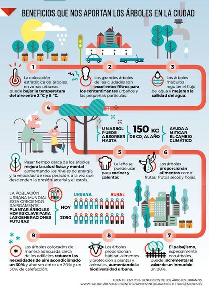 Los beneficios de los árboles en la ciudad | Planeta Futuro | EL PAÍS