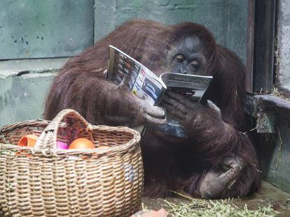 'Sandra' con una revista junto a la cesta de su comida.