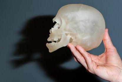 Un modelo de calavera humana impresa en 3-D.