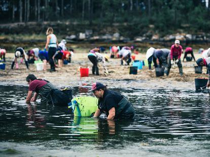 Mariscadoras de Vilanova de Arousa trabajaban el jueves en la extracción de almejas y berberechos en Ansuiña.