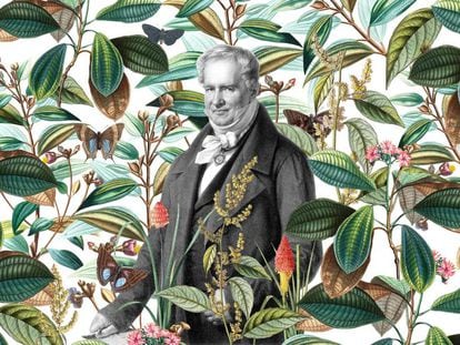 Humboldt, el genio romántico que anticipó el cambio climático