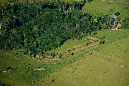 Figuras de movimientos de tierras en el paisaje amazónico.