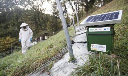 Un apicultor trabaja en un colmenar de O Courel protegido de los osos por un cercado eléctrico.