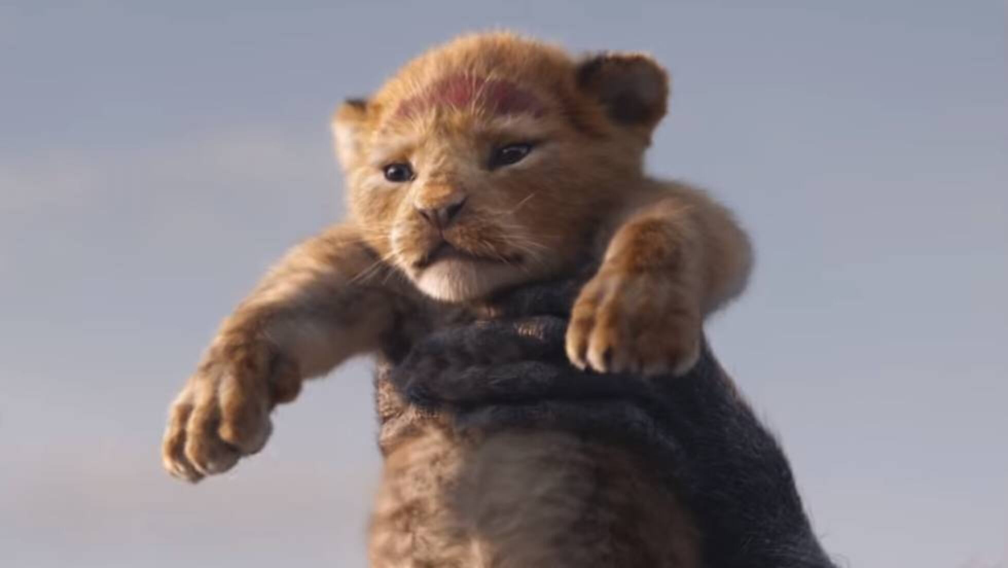 Primer Tráiler De La Nueva Versión De El Rey León Cultura El País