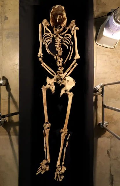 Skeleton of the man, aged 25-35, crucified in Cambridgeshire.