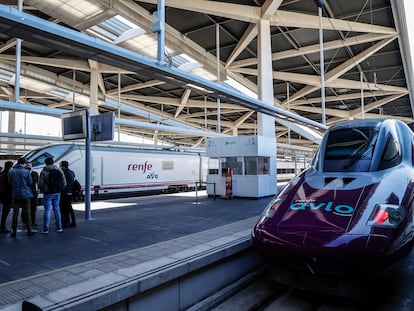 Un tren de Avlo y AVE, ambos de Renfe, a mediados de febrero en la estación Joaquín Sorolla de Valencia.