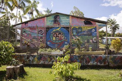 En Puerto Nariño (Colombia) las pinturas en fachadas de casas o instituciones con motivos étnicos descriptivos de las culturas indígenas autóctonas son muy frecuentes con el objetivo de darlas a conocer y conservar sus tradiciones.