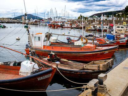 Barcos pesqueros en el puerto de Piriapolis (Uruguay).