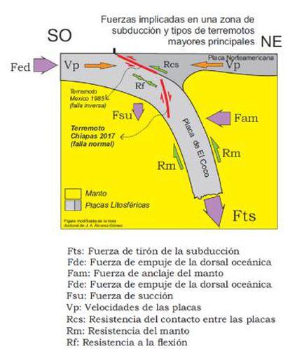 Fuerzas implicadas en una zona de subducción.