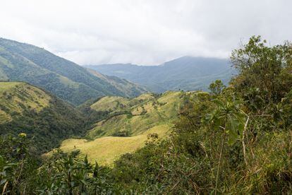 Las laderas del bosque nublado en los alrededores de Yunguilla.