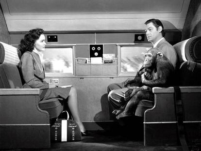 Maureen O'Sullivan, Johnny Weissmuller y Chita (el mono) viviendo aventuras en un avión en la película 'Tarzán contra el mundo' (1942).