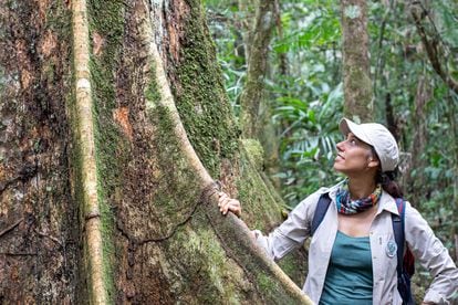 Tatiana Espinosa: La defensora de árboles de mil años en Perú | Qué mueve  a... | Planeta Futuro | EL PAÍS