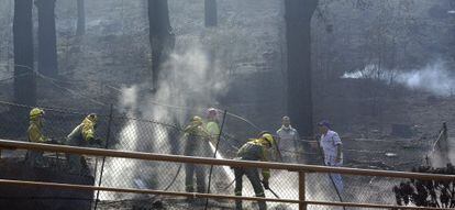 Labores de extinción del incendio en Vallehermoso (La Gomera).