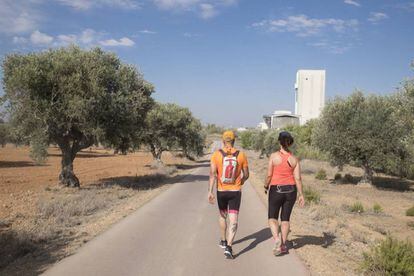 Entre los olivos y la cementera, Antonio y Cristina caminan por deporte por la Vía Verde del Tajuña.
