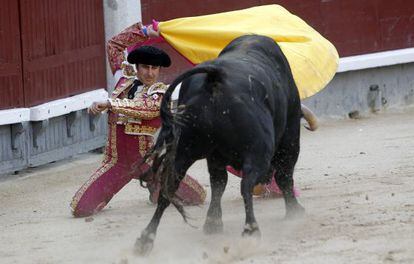 El Fandi en una corrida en Las Ventas el a&ntilde;o pasado.