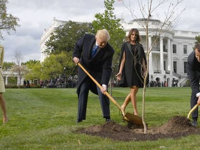 El presidente de EE UU, Donald Trump (izquierda), y el de Francia, Emmanuel Macron, plantan el árbol en el jardín de la Casa Blanca en abril de 2018.