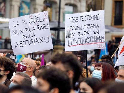 Pancartas en asturiano en una manifestación a favor la oficialidad de la lengua el pasado 16 de octubre en Oviedo.