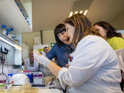 La ministra de Ciencia e Innovación, Diana Morant, en una visita a un laboratorio en La Rioja, este viernes.