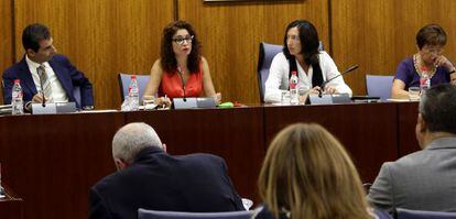 Mar&iacute;a Jes&uacute;s Montero, esta ma&ntilde;ana en la comisi&oacute;n parlamentaria.