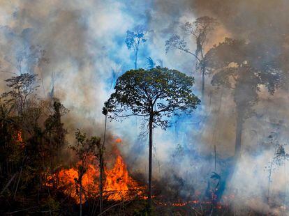 Los incendios arrasan el bosque en el estado de Pará, en Brasil, el pasado agosto.