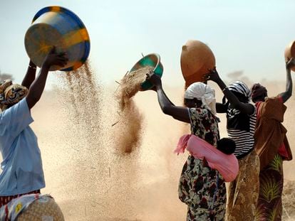 Unas mujeres malienses tamizan el trigo en un campo cerca de Segou, en el centro de Malí, en 2013. En 2022, las familias de África pagan un 45% más por la harina de trigo, ya que la guerra de Rusia en Ucrania bloquea las exportaciones.