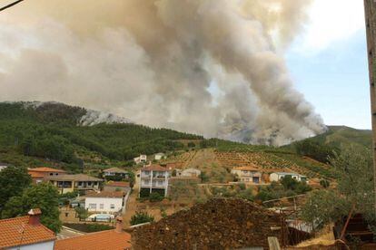 Varias columnas de humo se levantan de la zona de pinos situada junto al pueblo de Cambroncino, en Las Hurdes.