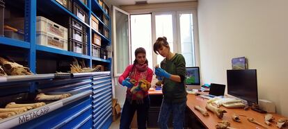 Las arqueólogas del Consejo Superior de Investigaciones Científicas (CSIC) Ariadna Nieto-Espinet y Silvia Valenzuela Lamas, el 11 de febrero.