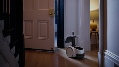 Astro, Amazon's home robot, can check for improperly closed doors or windows.